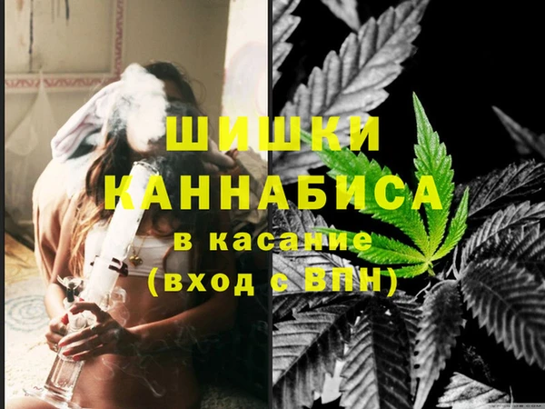 молекула духа Пестово