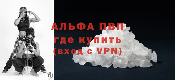 спайс Пересвет