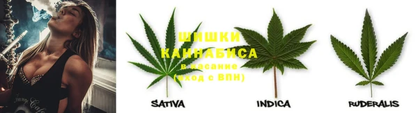 молекула духа Пестово
