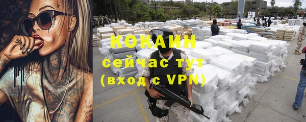молекула духа Пестово