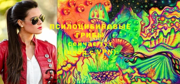 apvp Покачи