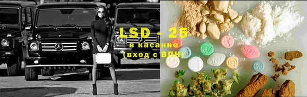 молекула духа Пестово