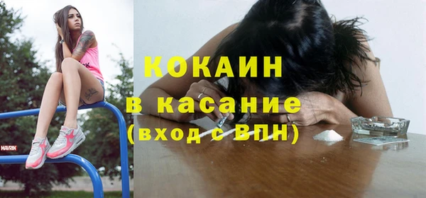 молекула духа Пестово