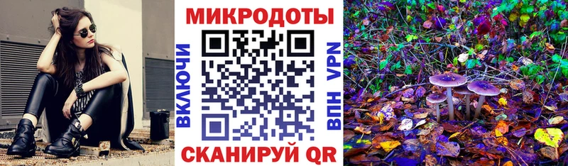 Галлюциногенные грибы мухоморы  где найти   Полярный 